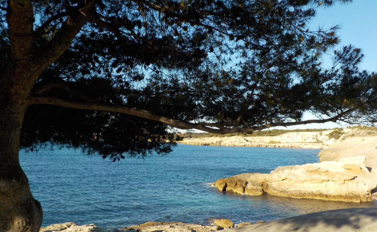 Les Lauriers Villa Sausset-les-Pins Eksteriør billede